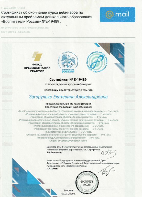 Сертификат_Вебинары Воспитатели России.jpg