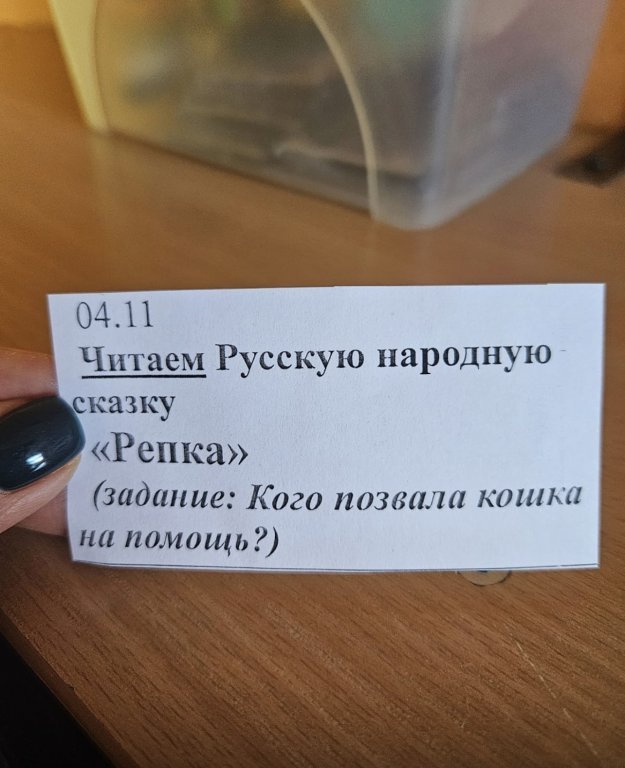 IMG_8960.jpeg