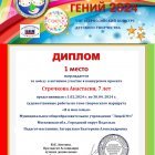 ДИПЛОМ Строчкова Анастасия МГ 2024  ФИНАЛ_page-0001.jpeg