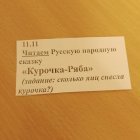 IMG_8955.jpeg